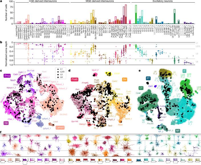 https://cdn.ncbi.nlm.nih.gov/pmc/blobs/52cb/8494644/6783051b2650/41586_2020_2907_Fig1_HTML.jpg