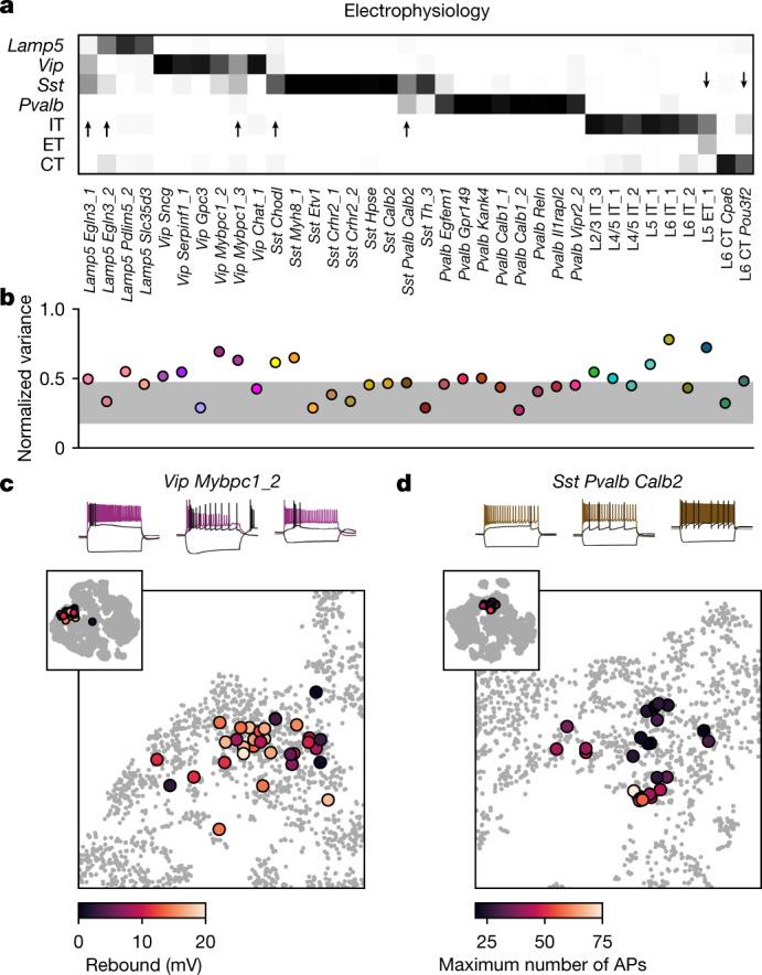 https://cdn.ncbi.nlm.nih.gov/pmc/blobs/52cb/8494644/8a8f088b4540/41586_2020_2907_Fig5_HTML.jpg