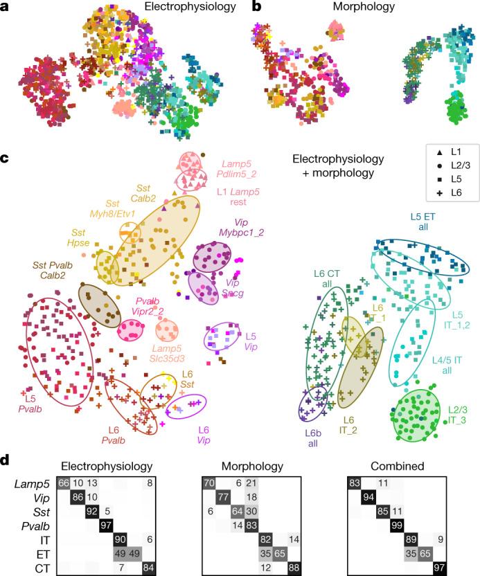 https://cdn.ncbi.nlm.nih.gov/pmc/blobs/52cb/8494644/94e2948772df/41586_2020_2907_Fig3_HTML.jpg