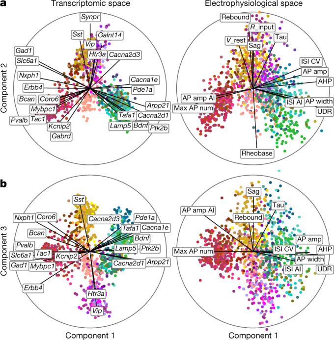 https://cdn.ncbi.nlm.nih.gov/pmc/blobs/52cb/8494644/bc4052a36a3f/41586_2020_2907_Fig2_HTML.jpg