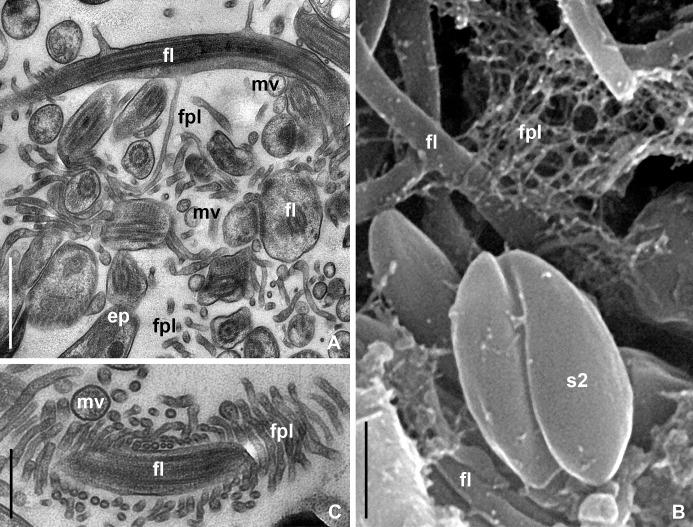 https://cdn.ncbi.nlm.nih.gov/pmc/blobs/52cc/6160041/68402b9d8b53/pone.0204467.g005.jpg