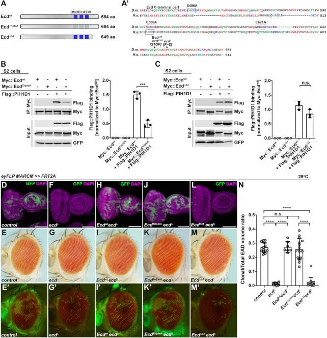 https://cdn.ncbi.nlm.nih.gov/pmc/blobs/52cd/7897482/3344946dd463/gkaa1274fig3.jpg