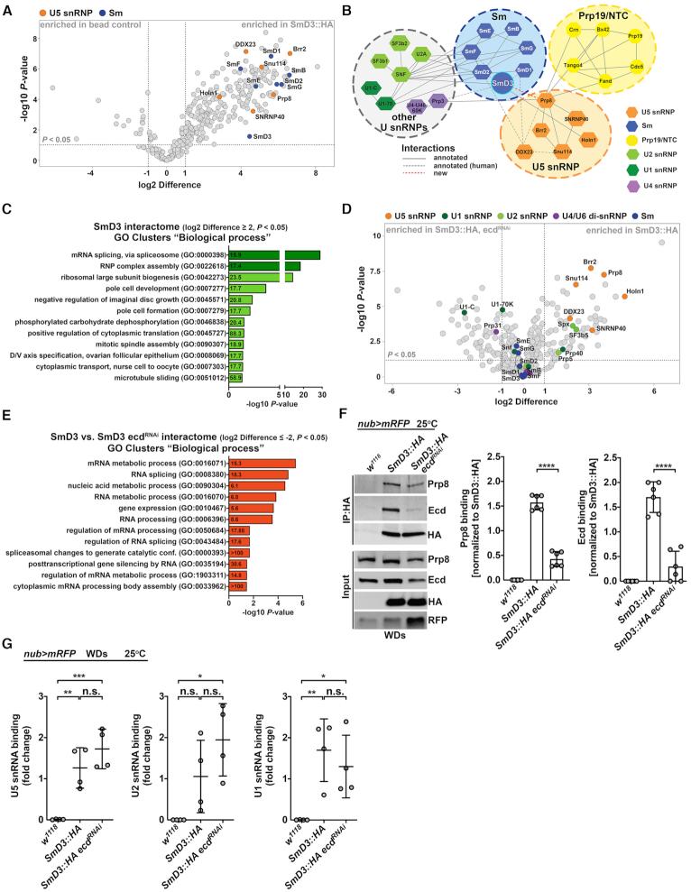 https://cdn.ncbi.nlm.nih.gov/pmc/blobs/52cd/7897482/857a9208f097/gkaa1274fig5.jpg