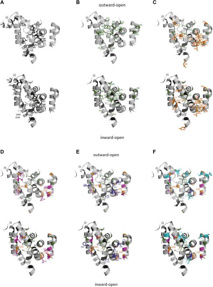 https://cdn.ncbi.nlm.nih.gov/pmc/blobs/52cf/9606685/0740449a5da8/fcell-10-988866-g004.jpg