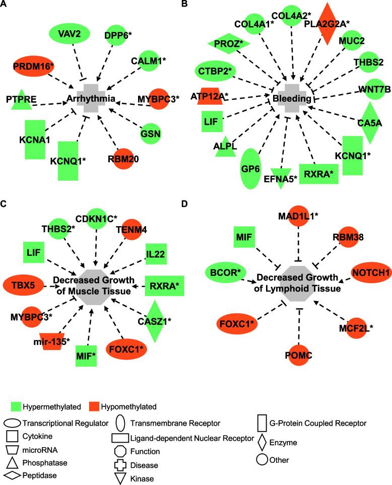 https://cdn.ncbi.nlm.nih.gov/pmc/blobs/52d5/12049026/28fc0c3a0a71/12864_2025_11562_Fig4_HTML.jpg