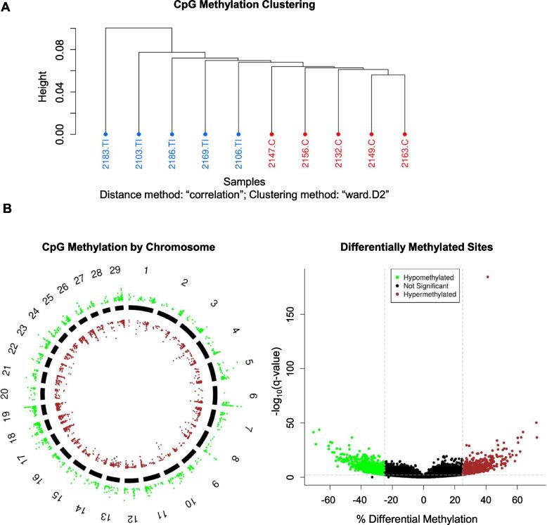 https://cdn.ncbi.nlm.nih.gov/pmc/blobs/52d5/12049026/8c115881f58a/12864_2025_11562_Fig2_HTML.jpg