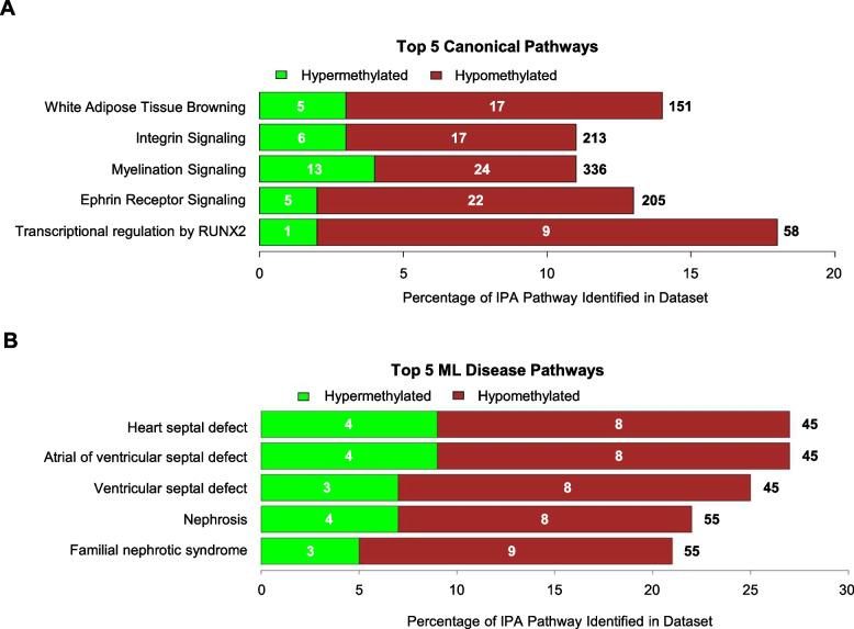 https://cdn.ncbi.nlm.nih.gov/pmc/blobs/52d5/12049026/9f87a74a2323/12864_2025_11562_Fig3_HTML.jpg