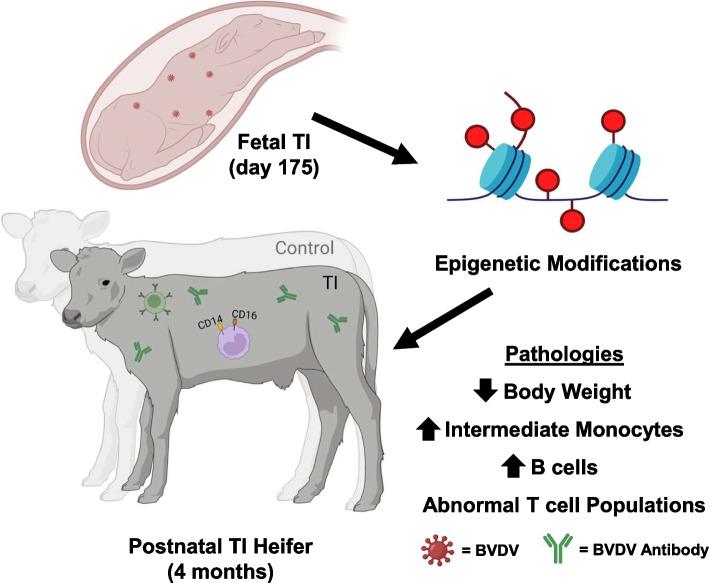 https://cdn.ncbi.nlm.nih.gov/pmc/blobs/52d5/12049026/a25a995668d7/12864_2025_11562_Fig6_HTML.jpg