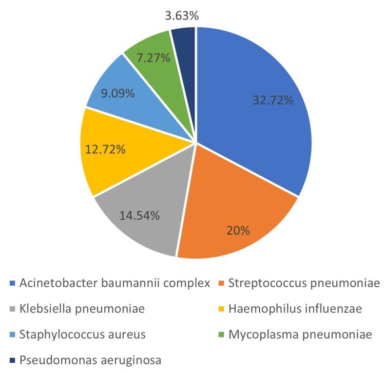 https://cdn.ncbi.nlm.nih.gov/pmc/blobs/52d7/12009103/ad23a0c88018/cureus-0017-00000080889-i03.jpg