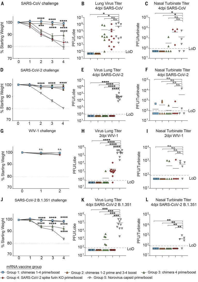 https://cdn.ncbi.nlm.nih.gov/pmc/blobs/52d9/10026980/0a93eb568a91/science.abi4506-f4.jpg