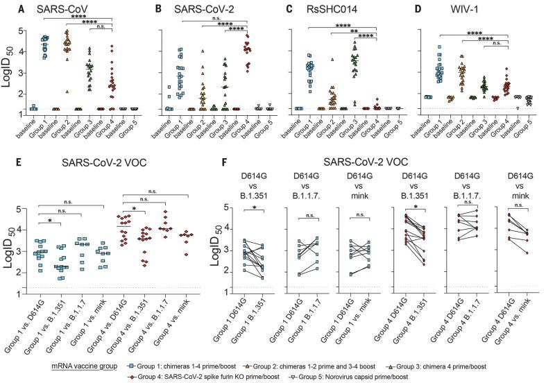 https://cdn.ncbi.nlm.nih.gov/pmc/blobs/52d9/10026980/1a996cc24f7a/science.abi4506-f3.jpg