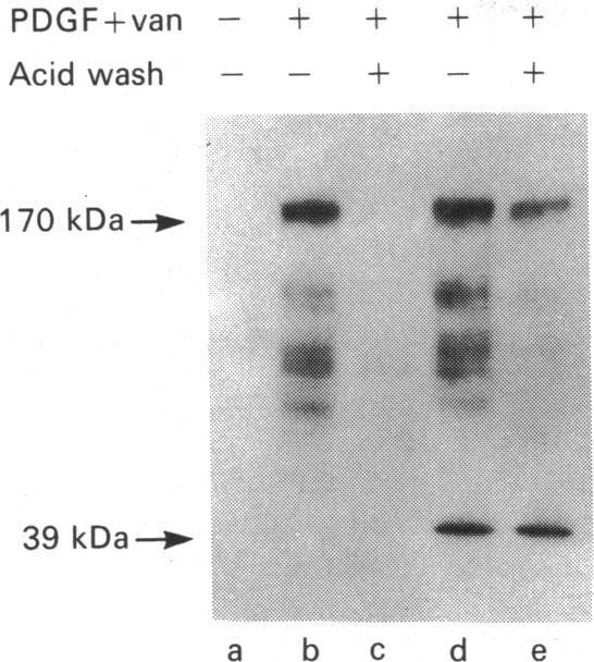 https://cdn.ncbi.nlm.nih.gov/pmc/blobs/52da/1151364/dadb1d4314f0/biochemj00152-0137-a.jpg