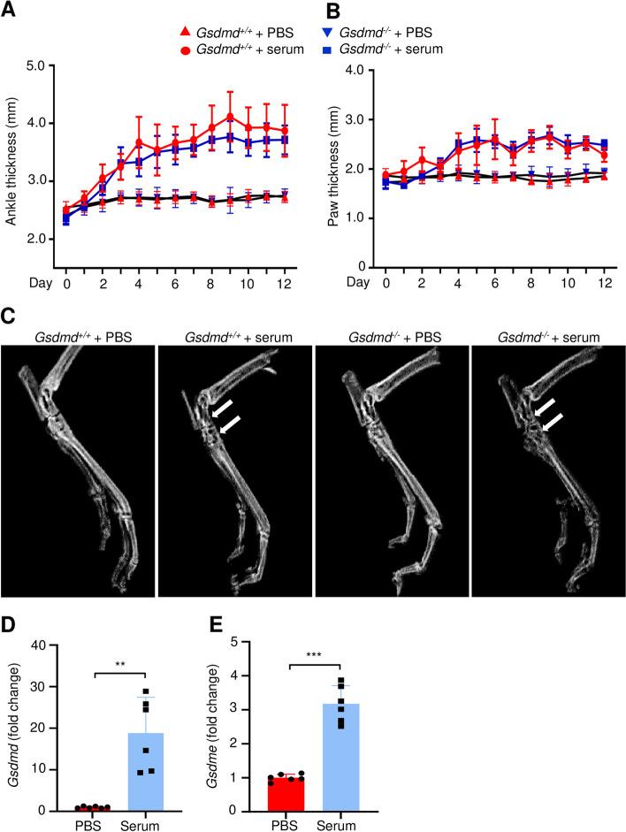 https://cdn.ncbi.nlm.nih.gov/pmc/blobs/52da/8594229/f38230ea45a6/13075_2021_2668_Fig1_HTML.jpg