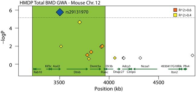 https://cdn.ncbi.nlm.nih.gov/pmc/blobs/52db/3072371/91a8b8dda3c5/pgen.1002038.g003.jpg