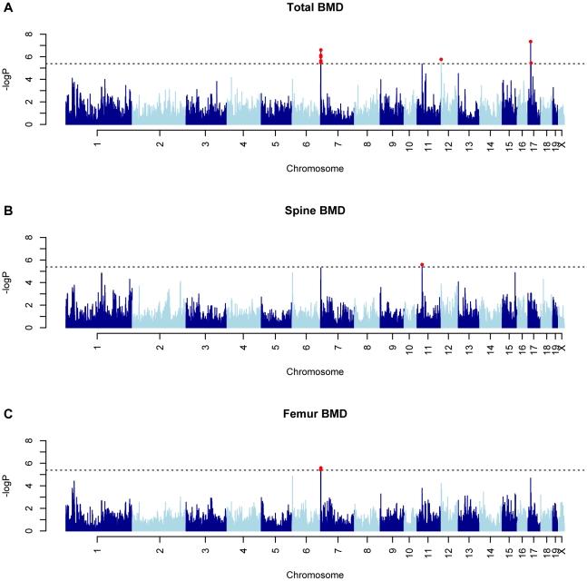 https://cdn.ncbi.nlm.nih.gov/pmc/blobs/52db/3072371/b451e47526c8/pgen.1002038.g002.jpg