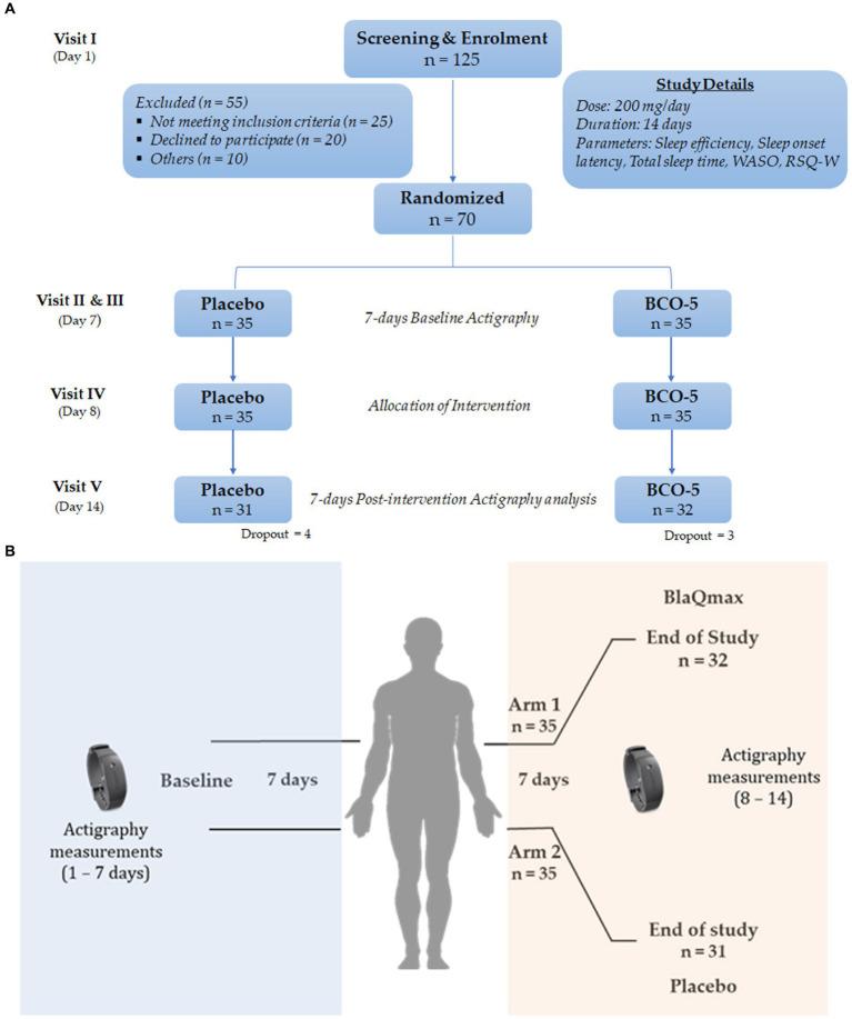 https://cdn.ncbi.nlm.nih.gov/pmc/blobs/52dc/10822901/b6e70991cac5/fnut-10-1200118-g001.jpg