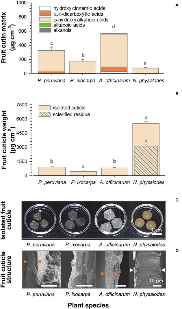 https://cdn.ncbi.nlm.nih.gov/pmc/blobs/52df/9298275/876ebe309129/fpls-13-888930-g0006.jpg
