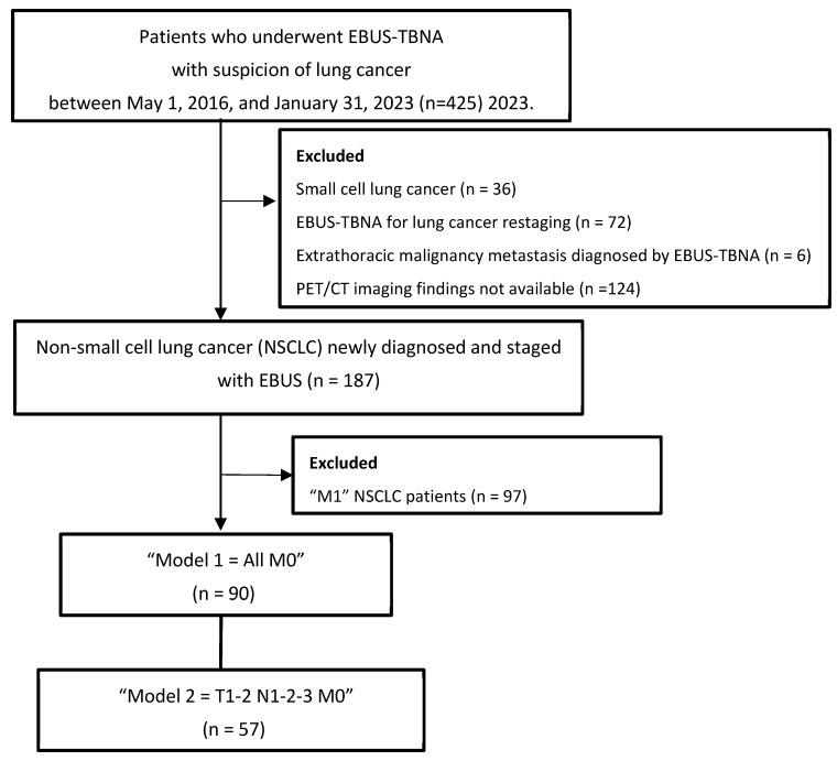 https://cdn.ncbi.nlm.nih.gov/pmc/blobs/52e3/12249194/57f40dd69e45/diagnostics-15-01570-g001.jpg