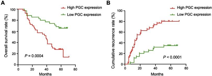 https://cdn.ncbi.nlm.nih.gov/pmc/blobs/52e3/6497866/720034d33d47/CMAR-11-2927-g0002.jpg