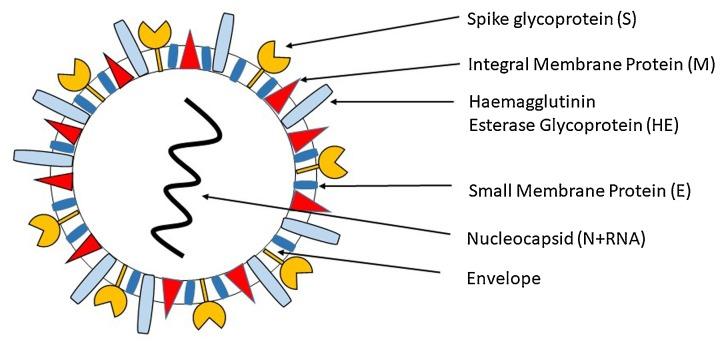 https://cdn.ncbi.nlm.nih.gov/pmc/blobs/52e3/7680047/bf11fb6cf97c/gr1_lrg.jpg