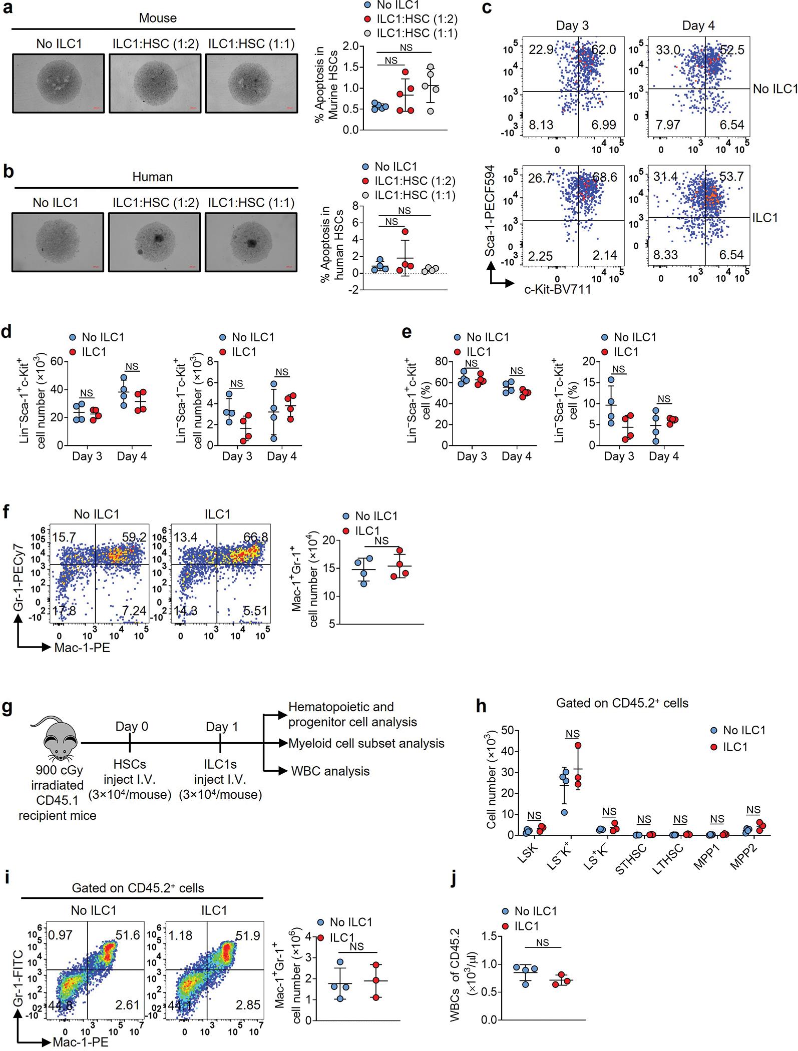https://cdn.ncbi.nlm.nih.gov/pmc/blobs/52e3/9106917/15a6ab806aa0/nihms-1792321-f0013.jpg