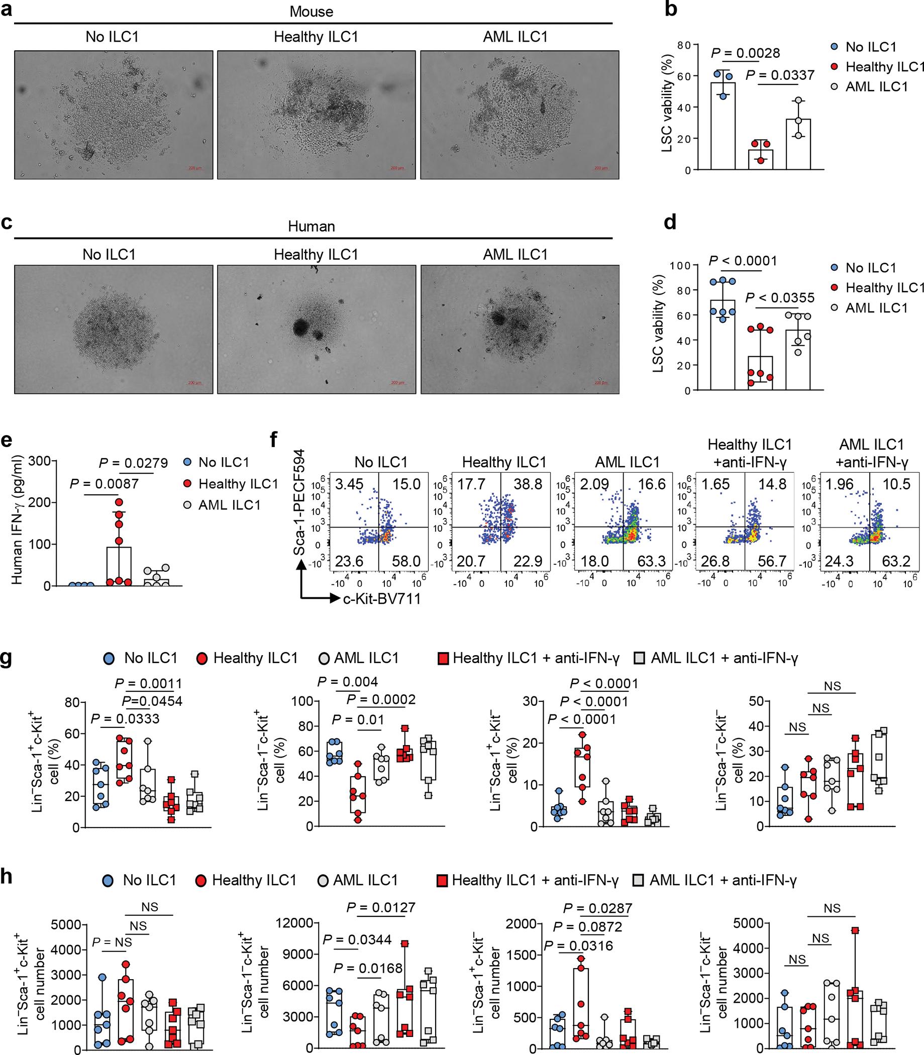 https://cdn.ncbi.nlm.nih.gov/pmc/blobs/52e3/9106917/a356e6551a28/nihms-1792321-f0007.jpg