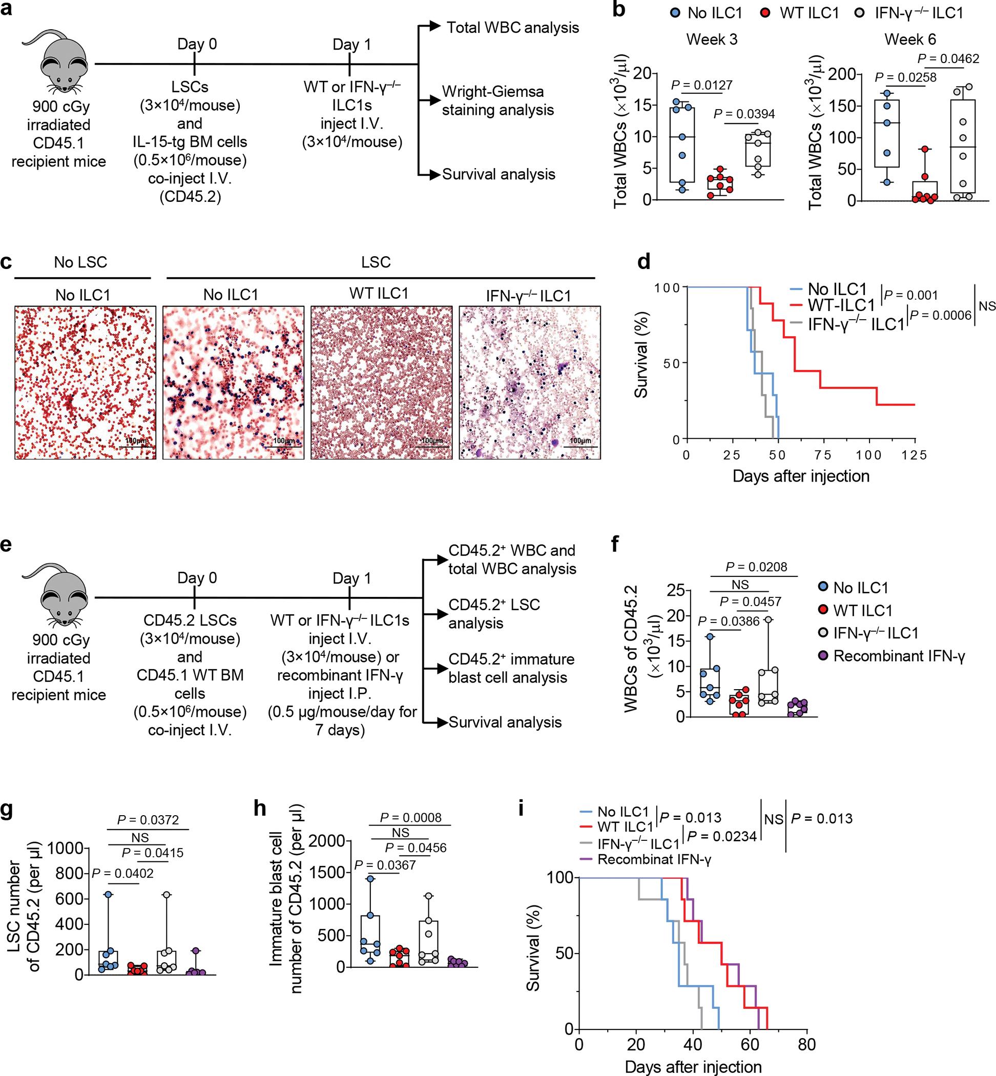 https://cdn.ncbi.nlm.nih.gov/pmc/blobs/52e3/9106917/e1de38926d30/nihms-1792321-f0004.jpg