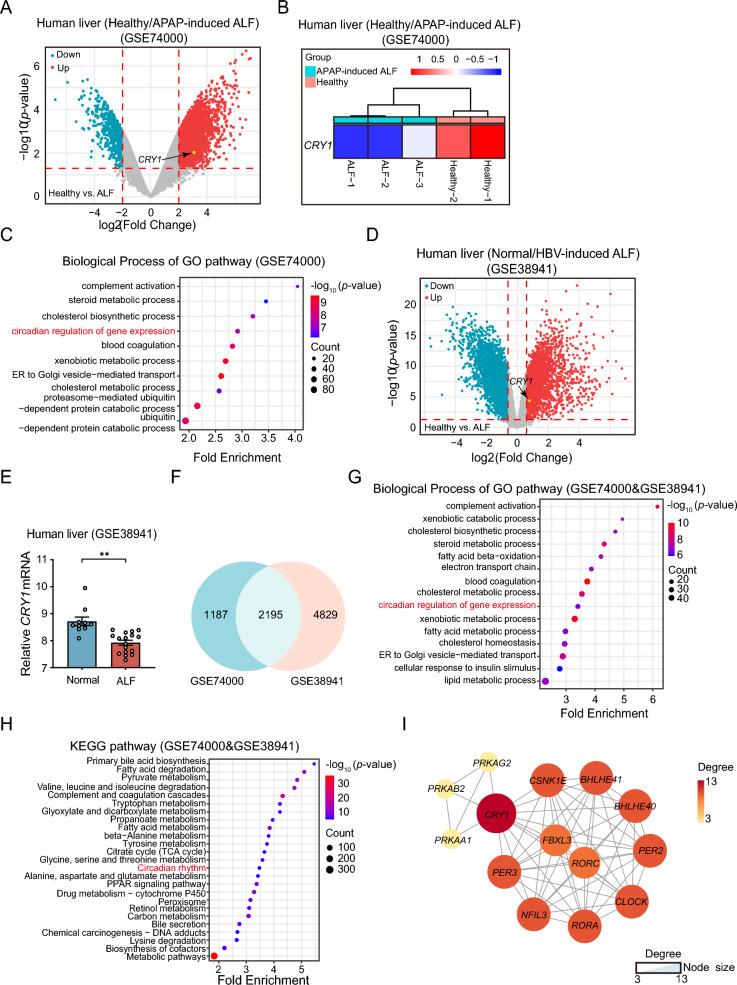 https://cdn.ncbi.nlm.nih.gov/pmc/blobs/52e4/11143572/5f2aed1aefe6/12967_2024_5312_Fig7_HTML.jpg