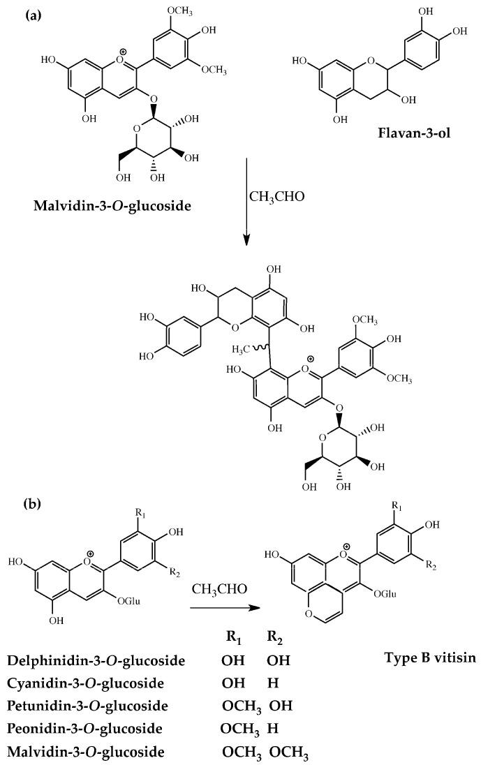 https://cdn.ncbi.nlm.nih.gov/pmc/blobs/52e6/11677095/35b83f243e60/molecules-29-05962-g001.jpg