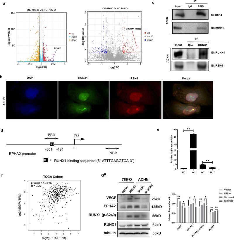 https://cdn.ncbi.nlm.nih.gov/pmc/blobs/52e6/11730630/55b9fa38138b/KCBT_A_2452025_F0004_OC.jpg