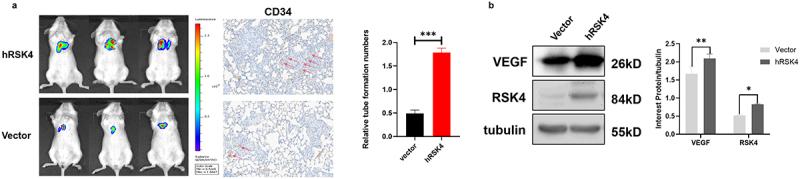 https://cdn.ncbi.nlm.nih.gov/pmc/blobs/52e6/11730630/5ece597074a1/KCBT_A_2452025_F0003_OC.jpg