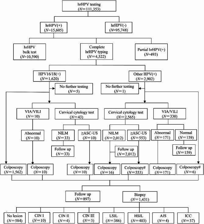 https://cdn.ncbi.nlm.nih.gov/pmc/blobs/52e6/12317979/b5734645d007/41598_2025_14228_Fig1_HTML.jpg