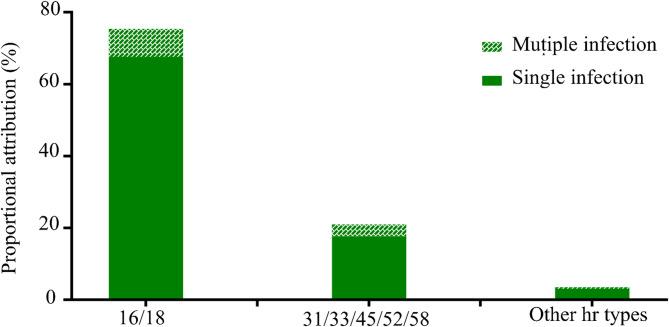 https://cdn.ncbi.nlm.nih.gov/pmc/blobs/52e6/12317979/c010cb5e0e58/41598_2025_14228_Fig4_HTML.jpg