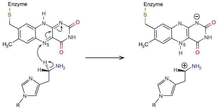 https://cdn.ncbi.nlm.nih.gov/pmc/blobs/52e6/8836602/06d4fed5e456/ijms-23-01910-sch001.jpg