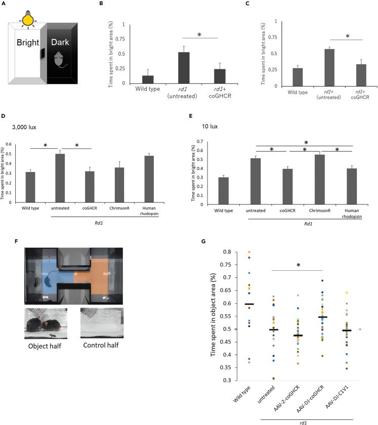 https://cdn.ncbi.nlm.nih.gov/pmc/blobs/52e7/10504486/33c6bc569767/gr3.jpg