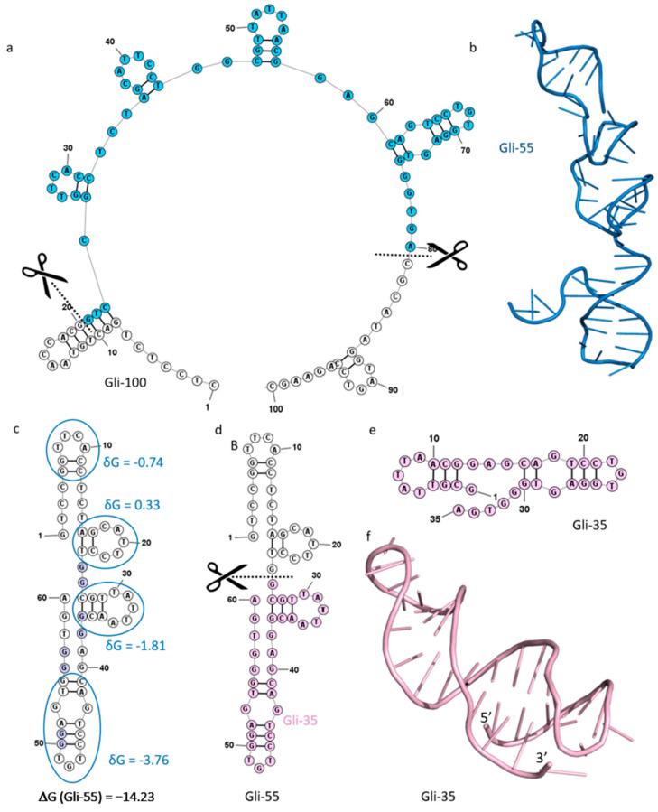 https://cdn.ncbi.nlm.nih.gov/pmc/blobs/52e9/11640682/c0bd20c15d3a/cancers-16-04111-g001.jpg