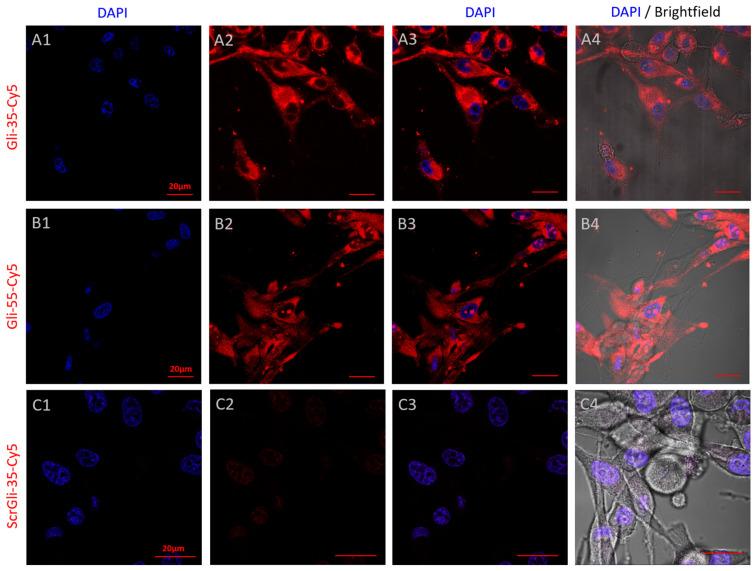 https://cdn.ncbi.nlm.nih.gov/pmc/blobs/52e9/11640682/c94cb5e53ec3/cancers-16-04111-g006.jpg