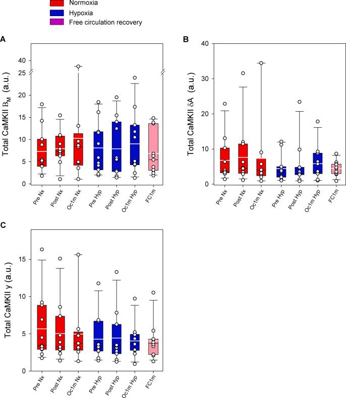 https://cdn.ncbi.nlm.nih.gov/pmc/blobs/52ea/9287614/b060d0029324/mmcfigs1.jpg