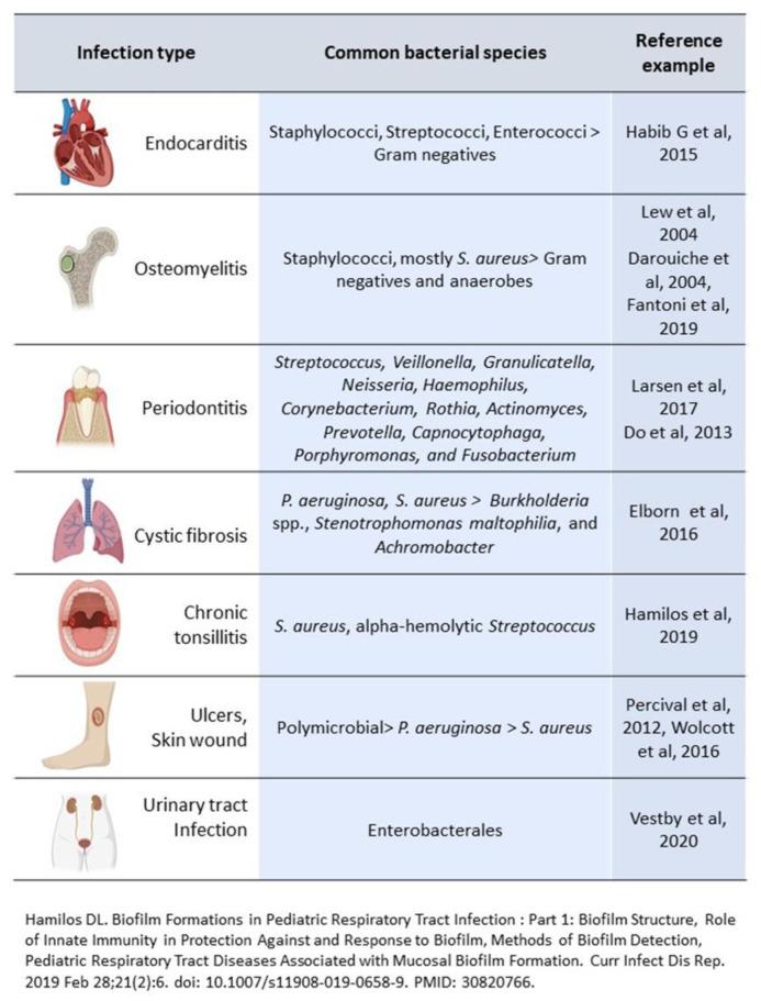 https://cdn.ncbi.nlm.nih.gov/pmc/blobs/52ea/9322301/16baef158e3e/microorganisms-10-01259-g001.jpg
