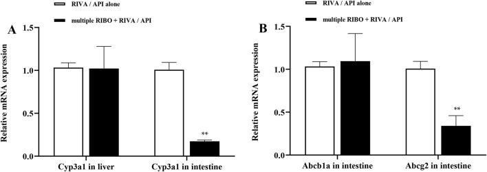 https://cdn.ncbi.nlm.nih.gov/pmc/blobs/52ed/11994961/863fc52565c9/fphar-16-1530806-g006.jpg