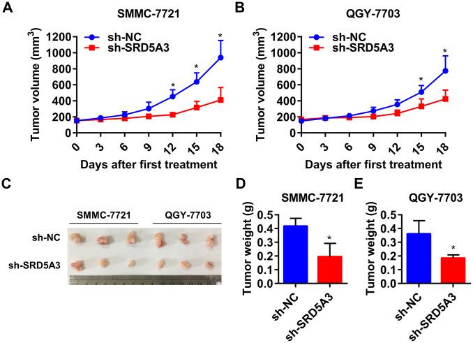 https://cdn.ncbi.nlm.nih.gov/pmc/blobs/52ef/7803539/5dc637363502/aging-12-104142-g008.jpg