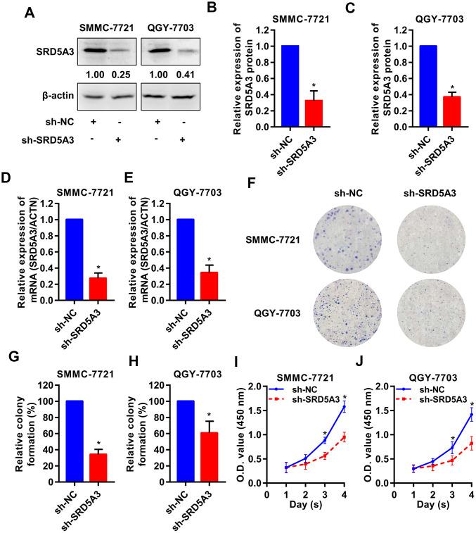 https://cdn.ncbi.nlm.nih.gov/pmc/blobs/52ef/7803539/fee8080c3e25/aging-12-104142-g007.jpg
