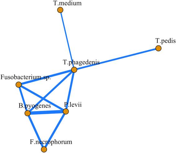 https://cdn.ncbi.nlm.nih.gov/pmc/blobs/52f3/8409723/5e06d454d7f6/msystems.00708-21-f006.jpg