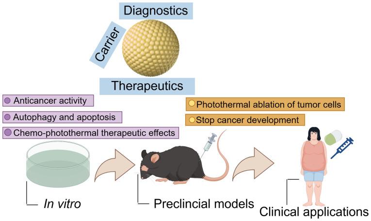 https://cdn.ncbi.nlm.nih.gov/pmc/blobs/52f5/11481100/c810729e6f0e/ol-28-06-14723-g04.jpg