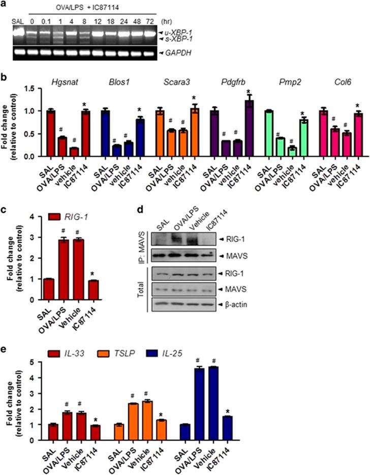 https://cdn.ncbi.nlm.nih.gov/pmc/blobs/52f5/5903822/108af67089be/emm2017270f5.jpg