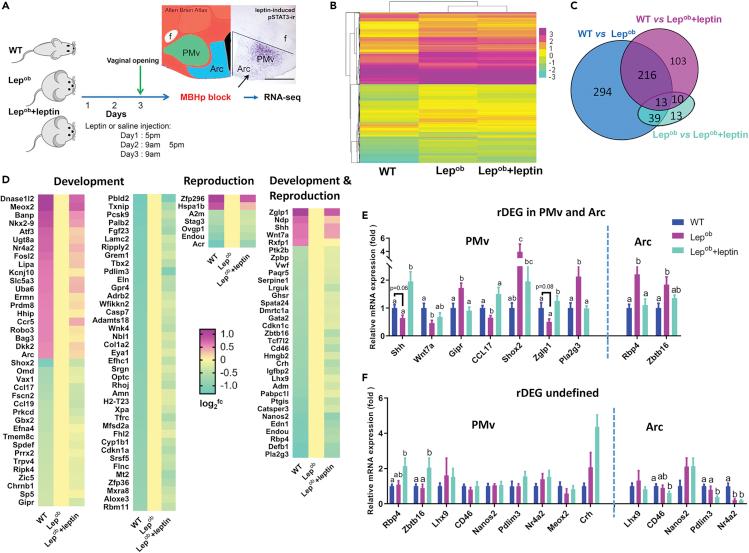 https://cdn.ncbi.nlm.nih.gov/pmc/blobs/52f6/7522126/645a5d415bbd/gr1.jpg