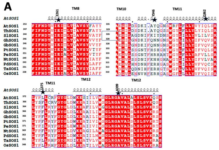 https://cdn.ncbi.nlm.nih.gov/pmc/blobs/52f8/12027421/5d0c4c2b53c5/ijms-26-03518-g002a.jpg