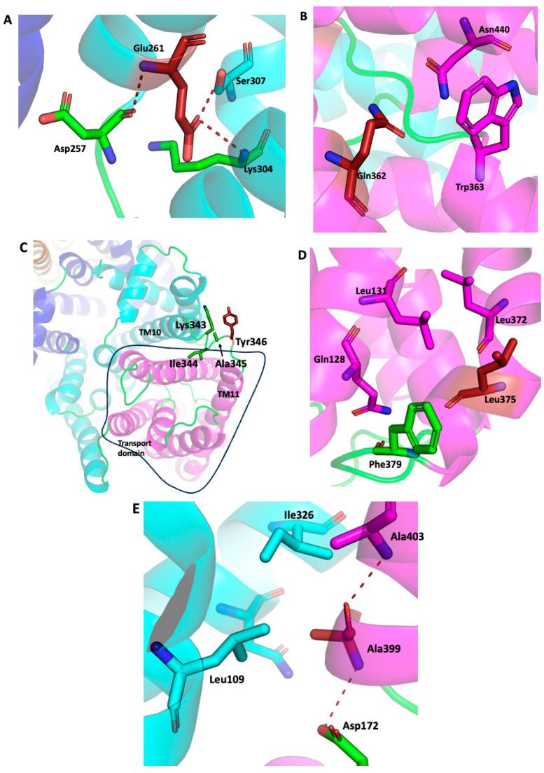https://cdn.ncbi.nlm.nih.gov/pmc/blobs/52f8/12027421/d000db84a87c/ijms-26-03518-g003.jpg