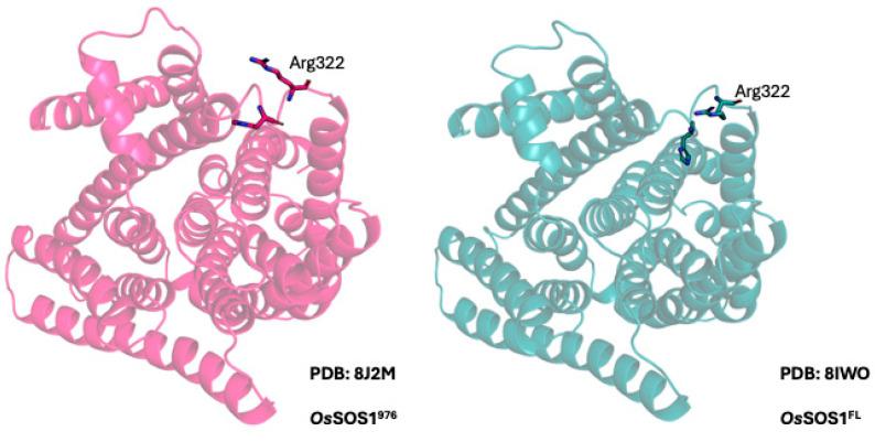 https://cdn.ncbi.nlm.nih.gov/pmc/blobs/52f8/12027421/fb265ec4a94f/ijms-26-03518-g007.jpg