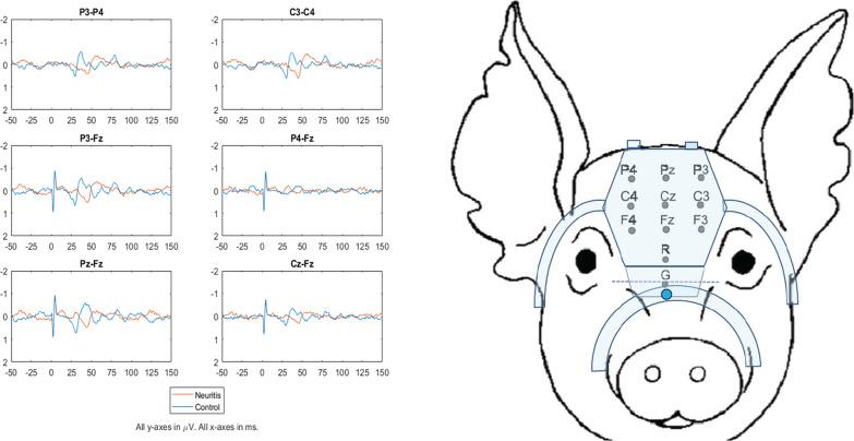 https://cdn.ncbi.nlm.nih.gov/pmc/blobs/52f9/8943992/14dbb60e0590/42826_2022_118_Fig2_HTML.jpg